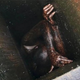 Illustration for article titled Man saved from grease vent after 2 days in possible botched robbery